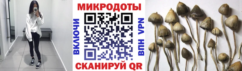 Галлюциногенные грибы Magic Shrooms  Купить закладки  Белоусово 